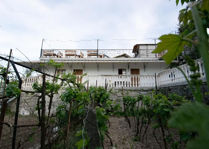 Mele